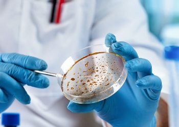 Diseases: Comprehensive Understanding, Prevention, and Modern Management