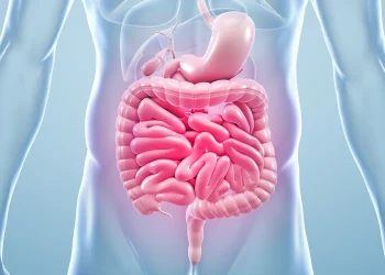 How Gut Health Influences Immunity