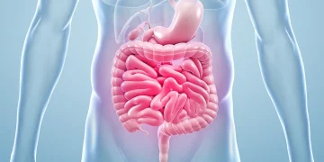 How Gut Health Influences Immunity
